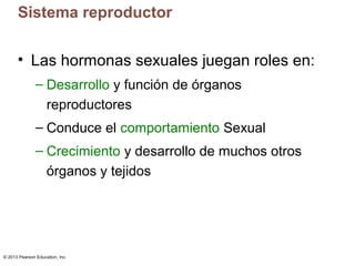 Sistema reproductor
• Las hormonas sexuales juegan roles en:
– Desarrollo y función de órganos
reproductores
– Conduce el comportamiento Sexual
– Crecimiento y desarrollo de muchos otros
órganos y tejidos

© 2013 Pearson Education, Inc.

 