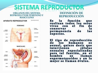 ORGANOS DEL SISTEMA
REPRODUCTOR FEMENINO Y
MASCULINO

DEFINICIÓN DE
REPRODUCCIÓN

 