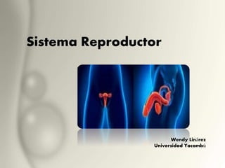 Sistema Reproductor
Wendy Linárez
Universidad Yacambú
 