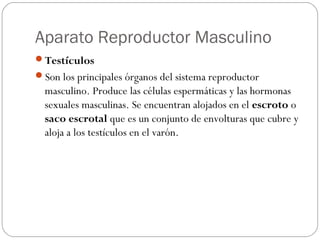 Aparato Reproductor Masculino
Testículos
Son los principales órganos del sistema reproductor
masculino. Produce las células espermáticas y las hormonas
sexuales masculinas. Se encuentran alojados en el escroto o
saco escrotal que es un conjunto de envolturas que cubre y
aloja a los testículos en el varón.
 