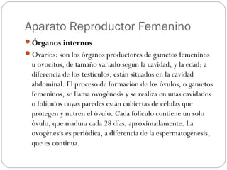 Aparato Reproductor Femenino
Órganos internos
Ovarios: son los órganos productores de gametos femeninos
u ovocitos, de tamaño variado según la cavidad, y la edad; a
diferencia de los testículos, están situados en la cavidad
abdominal. El proceso de formación de los óvulos, o gametos
femeninos, se llama ovogénesis y se realiza en unas cavidades
o folículos cuyas paredes están cubiertas de células que
protegen y nutren el óvulo. Cada folículo contiene un solo
óvulo, que madura cada 28 días, aproximadamente. La
ovogénesis es periódica, a diferencia de la espermatogénesis,
que es continua.
 