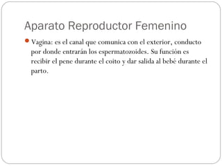 Aparato Reproductor Femenino
Vagina: es el canal que comunica con el exterior, conducto
por donde entrarán los espermatozoides. Su función es
recibir el pene durante el coito y dar salida al bebé durante el
parto.
 