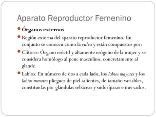 Aparato Reproductor Femenino
Órganos externos
Región externa del aparato reproductor femenino. En
conjunto se conocen como la vulva y están compuestos por:
Clítoris: Órgano eréctil y altamente erógeno de la mujer y se
considera homólogo al pene masculino, concretamente al
glande.
Labios: En número de dos a cada lado, los labios mayores y los
labios menores pliegues de piel salientes, de tamaño variables,
constituidas por glándulas sebáceas y sudoríparas e inervados.
 