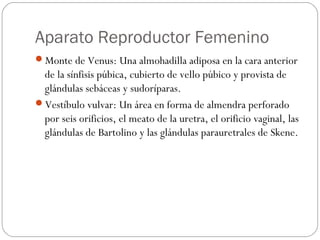Aparato Reproductor Femenino
Monte de Venus: Una almohadilla adiposa en la cara anterior
de la sínfisis púbica, cubierto de vello púbico y provista de
glándulas sebáceas y sudoríparas.
Vestíbulo vulvar: Un área en forma de almendra perforado
por seis orificios, el meato de la uretra, el orificio vaginal, las
glándulas de Bartolino y las glándulas parauretrales de Skene.
 