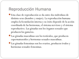 Reproducción Humana
Esta clase de reproducción se da entre dos individuos de
distinto sexo (hombre y mujer). La reproducción humana
emplea la fecundación interna y su éxito depende de la acción
coordinada de las hormonas, el sistema nervioso y el sistema
reproductivo. Las gónadas son los órganos sexuales que
producen los gametos.
Las gónadas masculinas son los testículos, que producen
espermatozoides y hormonas sexuales masculinas.
Las gónadas femeninas son los ovarios, producen óvulos y
hormonas sexuales femeninas.
 