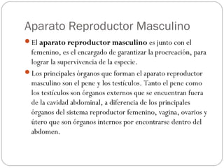 Aparato Reproductor Masculino
El aparato reproductor masculino es junto con el
femenino, es el encargado de garantizar la procreación, para
lograr la supervivencia de la especie.
Los principales órganos que forman el aparato reproductor
masculino son el pene y los testículos. Tanto el pene como
los testículos son órganos externos que se encuentran fuera
de la cavidad abdominal, a diferencia de los principales
órganos del sistema reproductor femenino, vagina, ovarios y
útero que son órganos internos por encontrarse dentro del
abdomen.
 