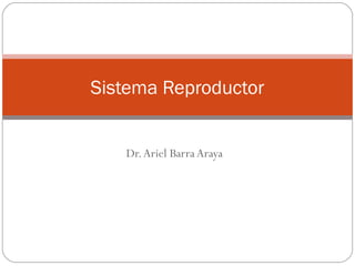 Dr.Ariel Barra Araya
Sistema Reproductor
 