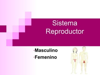 Sistema
Reproductor
-Masculino
-Femenino
 