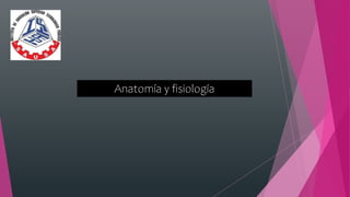 Anatomía y fisiología
 