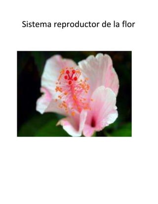 Sistema reproductor de la flor
 