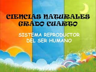 CIENCIAS NATURALES
GRADO CUARTO
SISTEMA REPRODUCTOR
DEL SER HUMANO
 