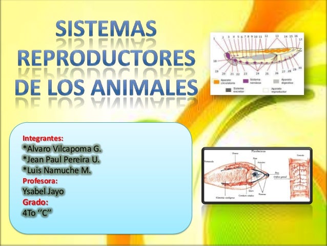 Sistema Reproductores De Animales