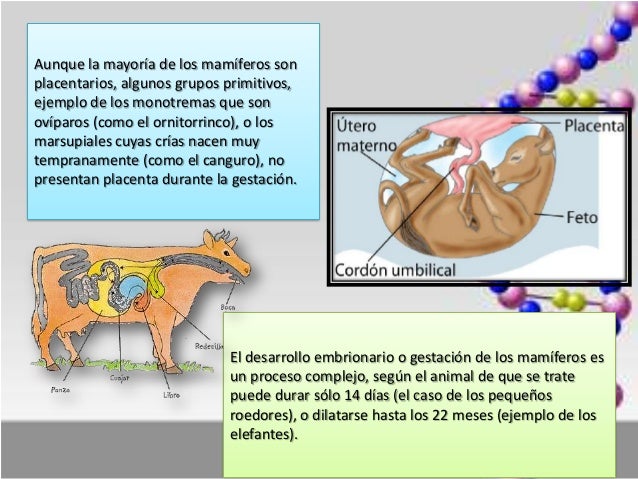 Imagen relacionada