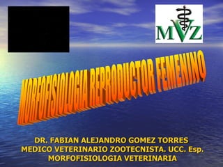 DR. FABIAN ALEJANDRO GOMEZ TORRES  MEDICO VETERINARIO ZOOTECNISTA. UCC. Esp. MORFOFISIOLOGIA VETERINARIA MORFOFISIOLOGIA REPRODUCTOR FEMENINO 