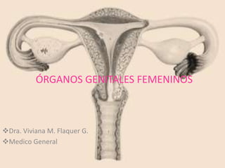 ÓRGANOS GENITALES FEMENINOS
Dra. Viviana M. Flaquer G.
Medico General
 