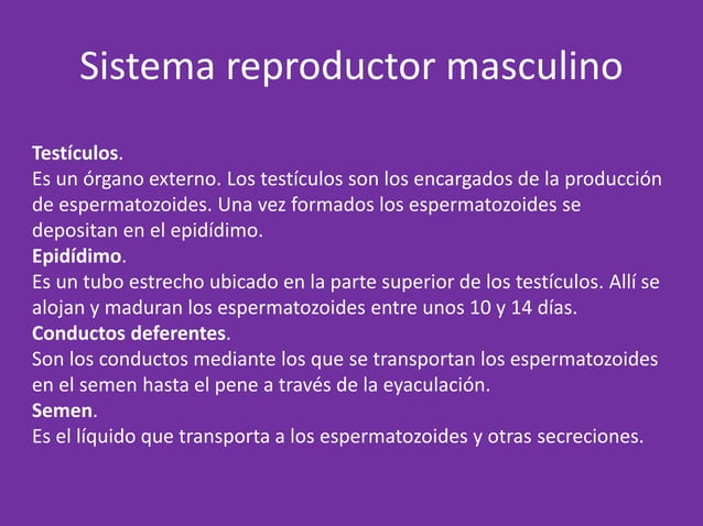 Sistema reproductor femenino y masculino | PPT