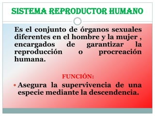 SISTEMA REPRODUCTOR HUMANO

Es el conjunto de órganos sexuales
diferentes en el hombre y la mujer ,
encargados     de   garantizar   la
reproducción      o    procreación
humana.

             FUNCIÓN:
 Asegura la supervivencia de una
 especie mediante la descendencia.
 