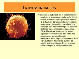 Sistema reproductor humano.rmm (1) | PPT
