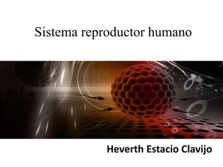 Sistema reproductor humano
Heverth Estacio Clavijo
 