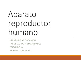 Aparato
reproductor
humano
UNIVERSIDAD YACAMBÚ
FACULTAD DE HUMANIDADES
PSICOLOGÍA
ABIHAIL LARA (EAD)
 