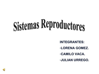 Sistemas Reproductores ,[object Object],[object Object],[object Object],[object Object]