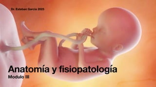 Anatomía y fisiopatología
Dr. Esteban Garcia 2023
Modulo III
 