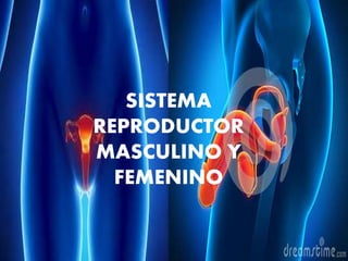 SISTEMA
REPRODUCTOR
MASCULINO Y
FEMENINO
 
