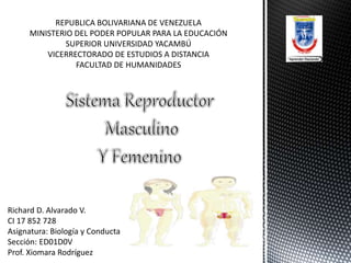 REPUBLICA BOLIVARIANA DE VENEZUELA
MINISTERIO DEL PODER POPULAR PARA LA EDUCACIÓN
SUPERIOR UNIVERSIDAD YACAMBÚ
VICERRECTORADO DE ESTUDIOS A DISTANCIA
FACULTAD DE HUMANIDADES
Richard D. Alvarado V.
CI 17 852 728
Asignatura: Biología y Conducta
Sección: ED01D0V
Prof. Xiomara Rodríguez
 