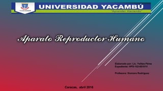 Elaborado por: Lic. Yelitza Pérez
Expediente: HPS-152-00191V
Profesora: Xiomara Rodríguez
Caracas, abril 2016
 