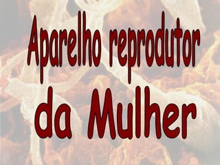 Aparelho reprodutor da Mulher 