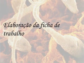Elaboração da ficha de trabalho 