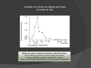Variação do número de células germinais
                                               ao longo da vida




Número de folículos (em milhões)




  Muitos dos oócitos I degeneram durante a vida intra-uterina.
     Dos 2 milhões de oócitos I com que nasce uma criança,
       só restam 400 000 ao atingir a puberdade e, destes,
apenas cerca de 450 completarão a sua evolução até à menopausa.
 