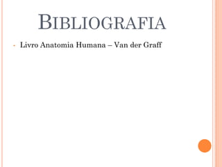 BIBLIOGRAFIA
•   Livro Anatomia Humana – Van der Graff
 