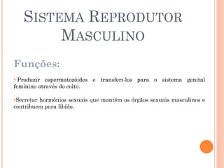 SISTEMA REPRODUTOR
        MASCULINO
Funções:
• Produzir espermatozóides e transferi-los para o sistema genital
feminino através do coito.

•Secretar hormônios sexuais que mantém os órgãos sexuais masculinos e
contribuem para libído.
 