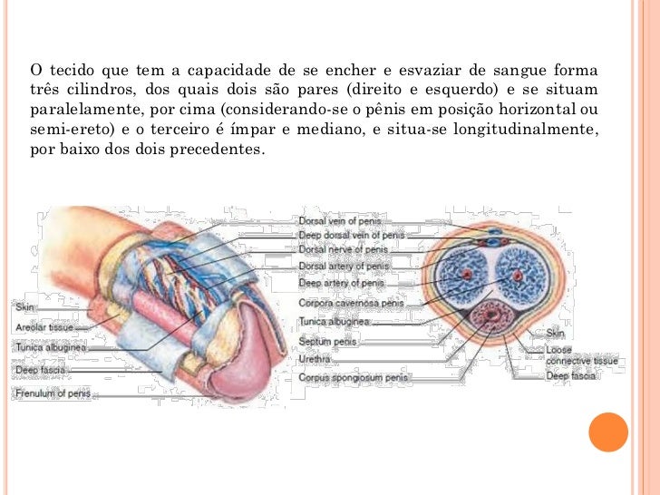 Pequeno pênis de uma pornografia ao ar livre
