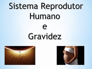 Sistema ReprodutorSistema Reprodutor
HumanoHumano
ee
GravidezGravidez
 