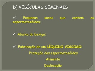 D) VESÍCULAS SEMINAIS

     Pequenos     sacos   que   contem   os
espermatozóides;


 Abaixo da bexiga;


 Fabricação de um LÍQUIDO VISCOSO:
         Proteção dos espermatozóides
                   Alimento
                   Deslocação
 