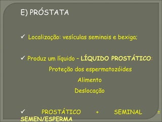 E) PRÓSTATA


 Localização: vesículas seminais e bexiga;


 Produz um líquido – LÍQUIDO PROSTÁTICO:
          Proteção dos espermatozóides
                    Alimento
                   Deslocação


    PROSTÁTICO            +      SEMINAL     =
SEMEN/ESPERMA
 