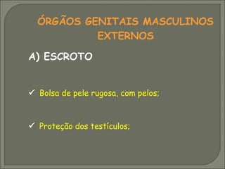ÓRGÃOS GENITAIS MASCULINOS
           EXTERNOS

A) ESCROTO


 Bolsa de pele rugosa, com pelos;



 Proteção dos testículos;
 