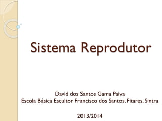 Sistema Reprodutor
David dos Santos Gama Paiva
Escola Básica Escultor Francisco dos Santos, Fitares, Sintra
2013/2014
 