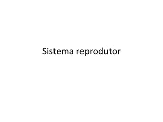 Sistema reprodutor
 