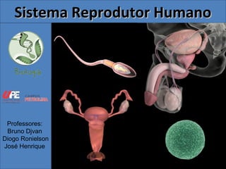 Professores:
Bruno Djvan
Diogo Ronielson
José Henrique
Sistema Reprodutor HumanoSistema Reprodutor Humano
 