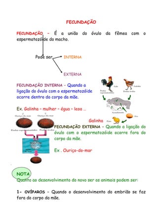 FECUNDAÇÃO
FECUNDAÇÃO – É a união do óvulo da fêmea com o
espermatozóide do macho.
Pode ser INTERNA
EXTERNA
FECUNDAÇÃO INTERNA – Quando a
ligação do óvulo com o espermatozóide
ocorre dentro do corpo da mãe.
Ex. Galinha – mulher – égua – leoa …
Galinha
FECUNDAÇÃO EXTERNA – Quando a ligação do
óvulo com o espermatozóide ocorre fora do
corpo da mãe.
Ex . Ouriço-do-mar
NOTA
Quanto ao desenvolvimento do novo ser os animais podem ser:
1- OVÍPAROS – Quando o desenvolvimento do embrião se faz
fora do corpo da mãe.
 