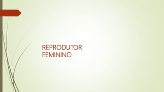 REPRODUTOR
FEMININO
 