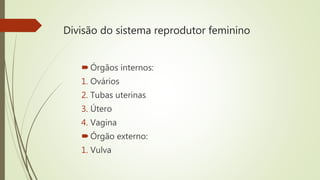 Divisão do sistema reprodutor feminino
Órgãos internos:
1. Ovários
2. Tubas uterinas
3. Útero
4. Vagina
Órgão externo:
1. Vulva
 