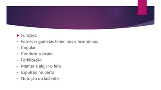  Funções:
• Fornecer gametas femininos e hormônios
• Copular
• Conduzir o óvulo
• Fertilização
• Manter e alojar o feto
• Expulsão no parto
• Nutrição do lactente
 