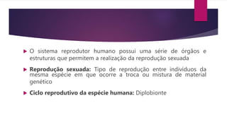  O sistema reprodutor humano possui uma série de órgãos e
estruturas que permitem a realização da reprodução sexuada
 Reprodução sexuada: Tipo de reprodução entre indivíduos da
mesma espécie em que ocorre a troca ou mistura de material
genético
 Ciclo reprodutivo da espécie humana: Diplobionte
 