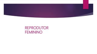 REPRODUTOR
FEMININO
 