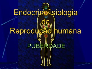 Endocrinofisiologia
da
Reprodução humana
PUBERDADE
 