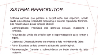 SISTEMA REPRODUTOR
Sistema corporal que garante a perpetuação das espécies, sendo
divido em sistema reprodutor masculino e sistema reprodutor feminino.
São responsáveis pelas funções abaixo:
• Gametogênese: Produção dos gametas sexuais, masculino e
feminino.
• Fecundação: União do ovócito com o espermatozoide para formar o
zigoto.
• Gestação: Desenvolvimento do embrião e feto no interior do útero.
• Parto: Expulsão do feto do útero através do canal vaginal.
• Amamentação: Garante a sobrevivência do bebê através do leite
materno.
 
